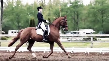 My Official Intro! | Elizabeth._.Equestrian