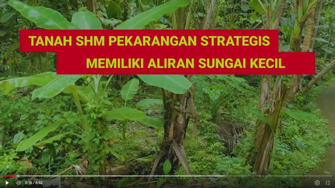 (SOLD) Tanah SHM Pekarangan Seluas 1137m² Harga 325 Juta, Lokasi Strategis Dekat Sungai Kecil