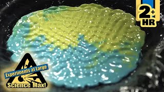 The TOP Science Experiments You Need to Try Now | Science Max | Scholastic After School