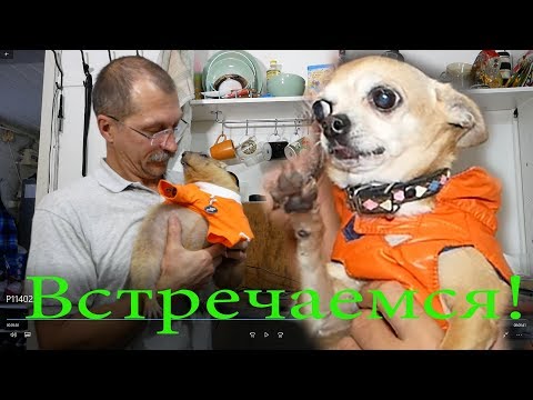Встречаемся на Petshop Days в Питере!