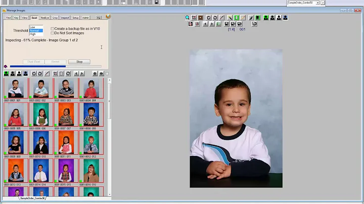 DP2 Manage Images Chromakey Dust busting