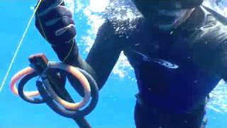30 lb King Mackerel Spearfishing