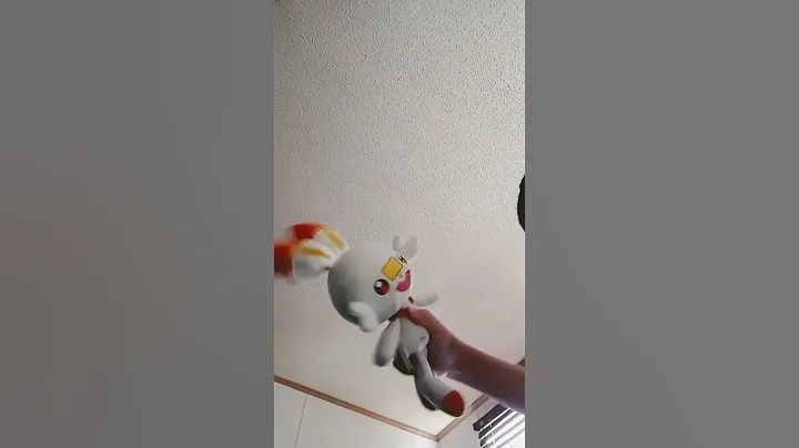 don't mess with the score bunny's turtle
