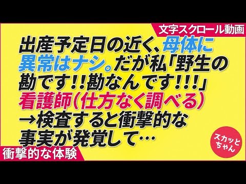 衝撃的な体験 出産予定日の近く、母体に異常はナシ。だが私「野生の勘です！！勘なんです！！！」看護師（仕方なく調べる）→検査すると衝撃的な事実が発覚して…