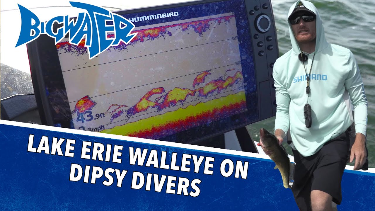 Summer Walleye Fishing With Dispy Divers On Lake Erie Sonar Lit Up With Baitfish YouTube