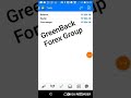 GreenBack Forex Group