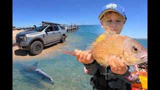 Monkey Mia to Cape Peron | 4x4, Fishing & The Best Family Day
