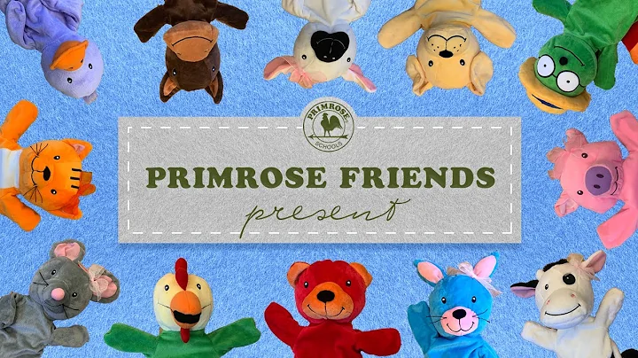 Meet the Primrose Friends!
