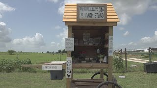 Holland couple opens roadside farm stand
