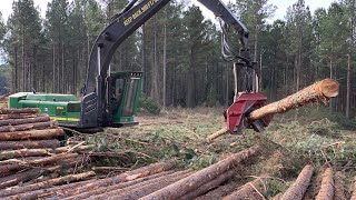 John Deere 2554 & Waratah 624c processor ride along