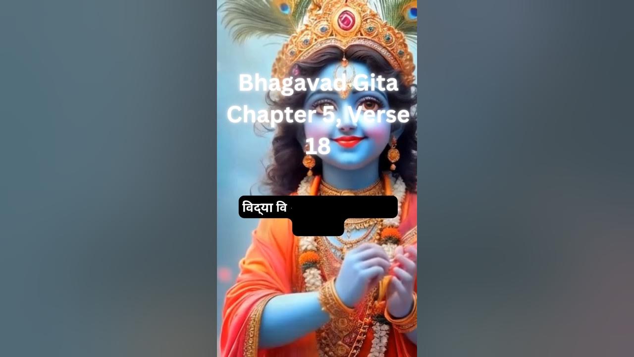Explain Bhagavad Gita Chapter 5 Verse 18 YouTube explain-bhagavad-gita-chapter-5-verse-18-youtube