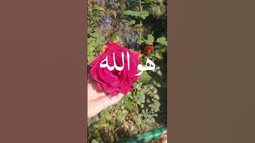 سورة الحشر /عبد الباسط عبد الصمد #القران_الكريم #قران #عبدالباسط_عبدالصمد #تلاوة_خاشعة #اكسبلور