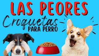 Las PEORES CROQUETAS PARA PERRO de 2023 ¡reveladas! ⚠️ CROQUETAS que tu PERRO NO DEBERÍA COMER