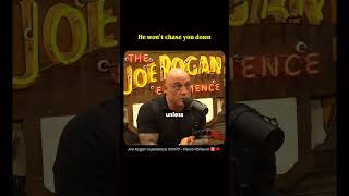 Joe Rogan said Alex Pereira Will Knock u #shorts #viral