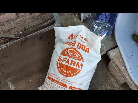 Video: Sử dụng mụn dừa cho cây trồng - Ưu và nhược điểm của đất mụn dừa