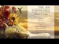 The Joy Formidable - Cholla [Official Audio from Wolf's Law]