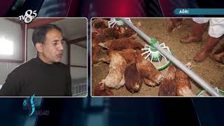 Eylül Organik Yumurta Çiftliği - TV8,5 İş ve Başarı Resimi