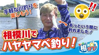 お手軽楽しい！やってみよう川でハヤヤマベ釣り 相模川 - YouTube