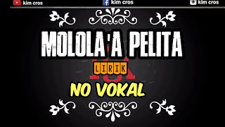 RUSUADIN-MOLOLA'A PELITA- LIRIK/NO VOKAL