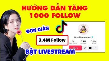 ✅ TĂNG FOLLOW TIKTOK KHÔNG TỤT | 1000 Follow Mỗi Ngày, Bật Được Livestream | Ms Hảo Dịch Vụ Mua Like