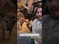 We're going to replace timber the office dog with super intelligence