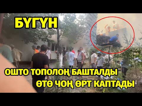 Video: Лондондогу чоң өрт башталдыбы?