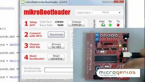 Teclas e Leds - PIC16F877A - módulo StartPIC - Linguagem C