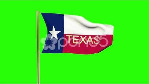 Texas Flag With Title Waving In The Wind. Looping Sun Rises Style. Animation