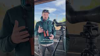 Tips for beginner birders 🐦