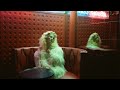 Silk City - New Love (feat. Ellie Goulding) [Behind The Scenes]