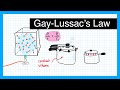 The Science Behind Pressure Cookers and Gas Laws