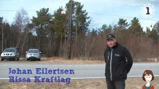 Nye Fuglelinjer I Rissa