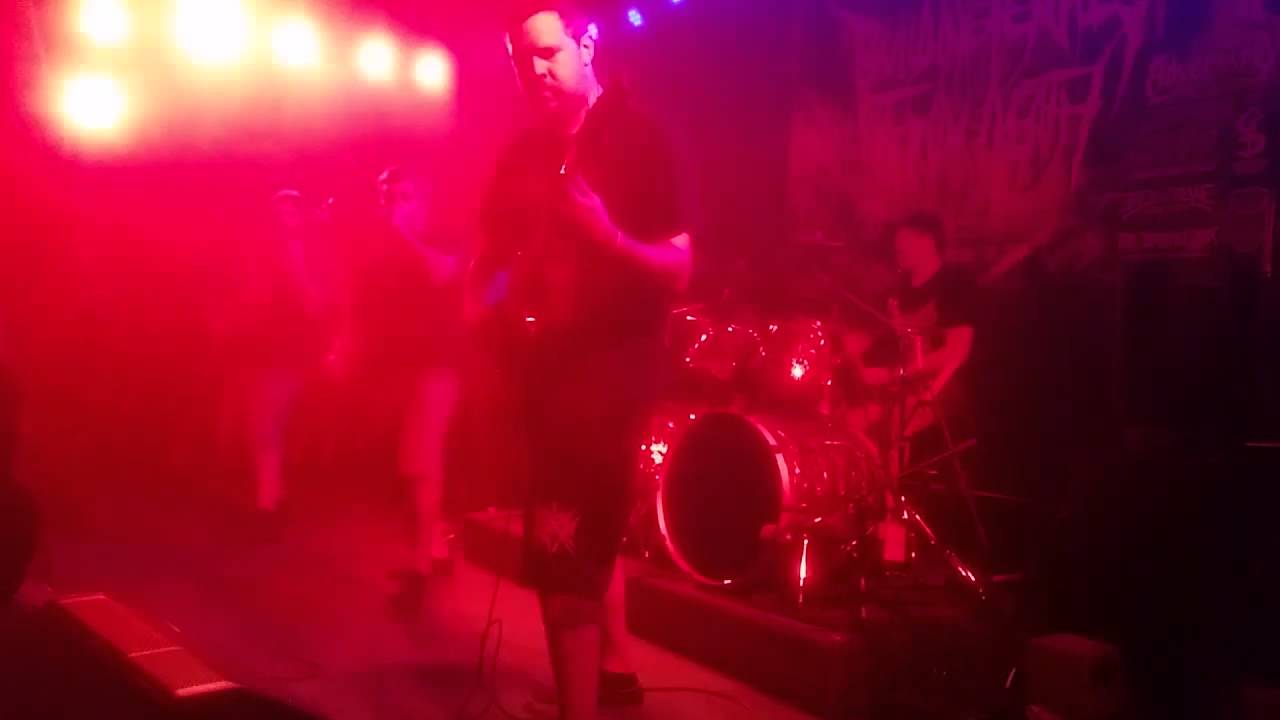 EUPHEGENIA BTDF Digital Strain of Dementia