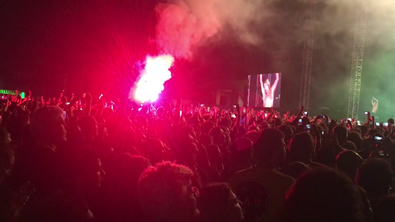 IGGY POP ATHENS JUNE 2019 (I WANNA BE YOUR DOG)