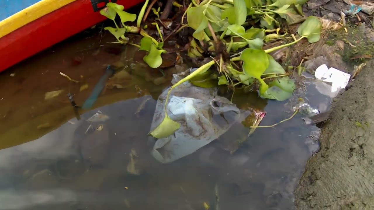 Mancing ikan baderbang / tawes sirip merah di Penyebrangan Jurang Toleh Waduk Karangkates Malang