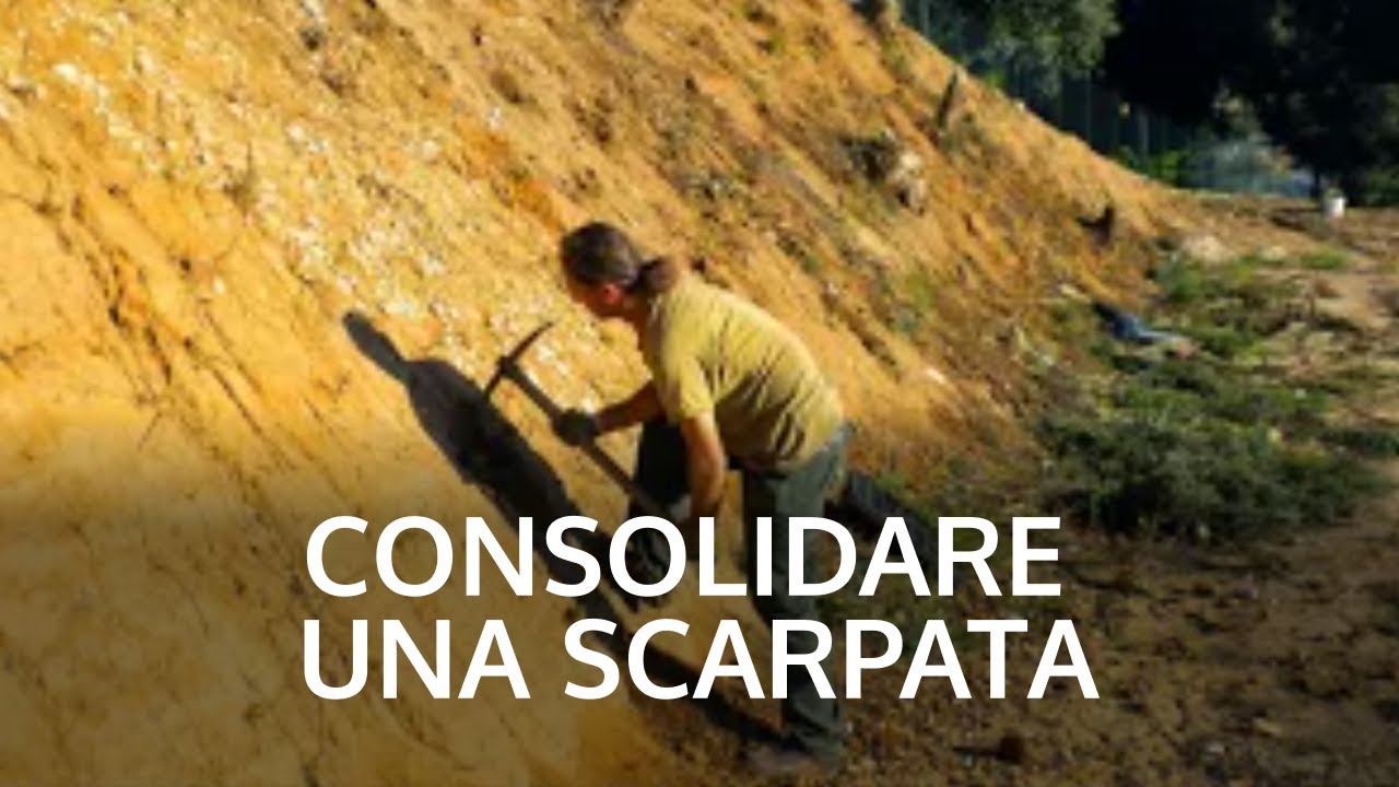 Consolidare una scarpata