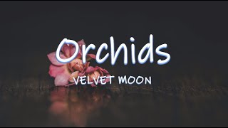 ORCHIDS - Velvet Moon | Lyrics / Lyric Video