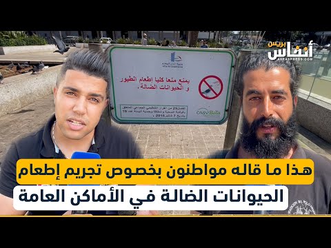 هذا ما قاله مواطنون بخصوص تجريم إطعام الحيوانات الضالة في الأماكن العامة