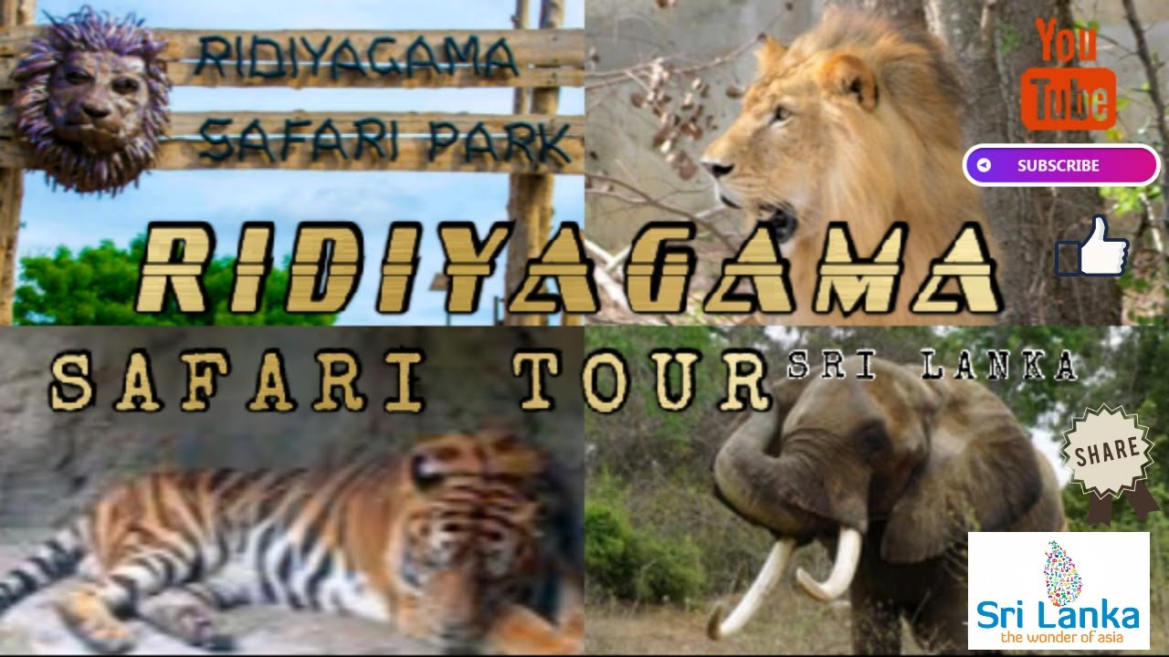 ridiyagama safari ticket online booking