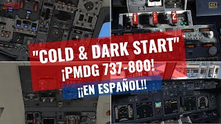 EL MAS COMPLETO TUTORIAL COLD & DARK START DEL PMDG 737-800 EN ESPAÑOL, NO TE LO PIERDAS! 👨‍✈️✈❤😍👌