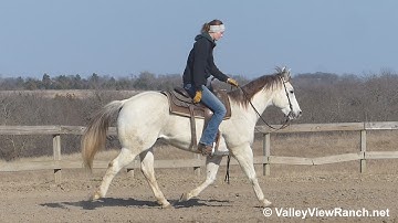 Leos Lucky King Too - riding in outdoor arena #2 - ValleyViewRanch.net