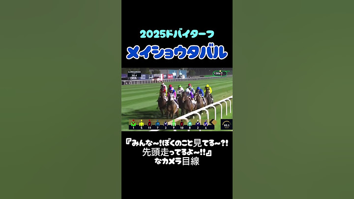 【競馬】先頭を走るメイショウタバルのカメラ目線が可愛すぎた #競馬 #ドバイワールドカップ #ドバイターフ #メイショウタバル #horseracing #shorts