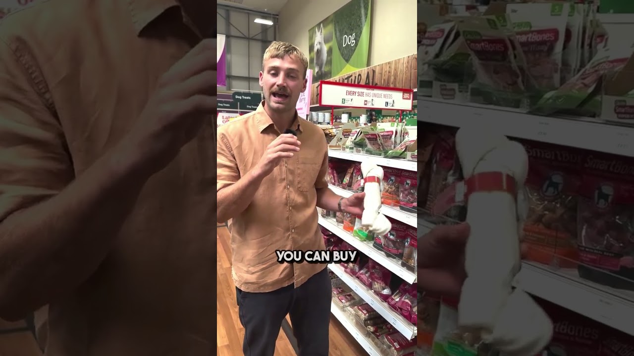 Why you should AVOID rawhide for your dog!!