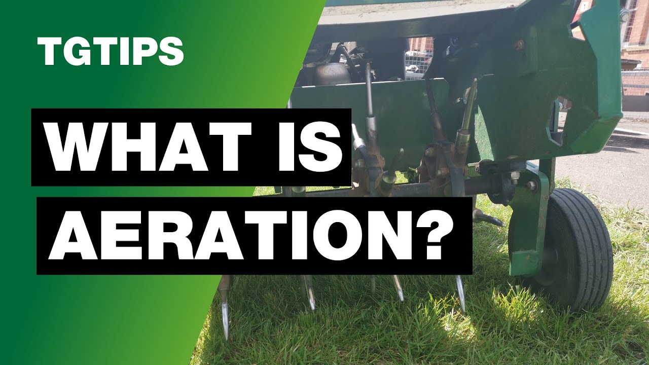 TG TIPS - What is Aeration?
