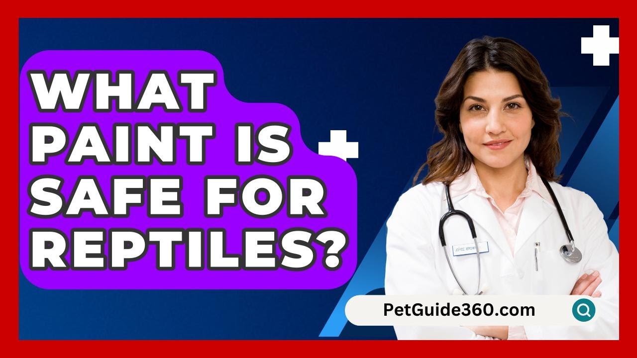 What Paint Is Safe For Reptiles PetGuide360 YouTube what-paint-is-safe-for-reptiles-petguide360-youtube