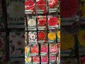 Start Dahlia tubers under cover for stronger bushier plants