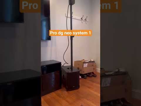 Best location for Pro DG NEO-1 system