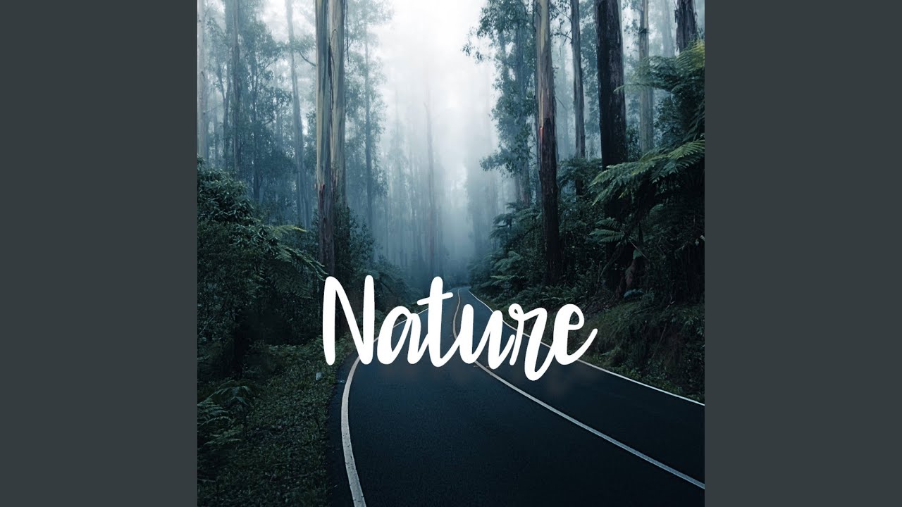 Watch Nature on YouTube Watch Nature on YouTube