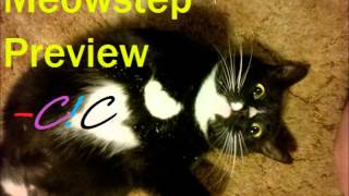 Meow-step (C!C Dubstep)