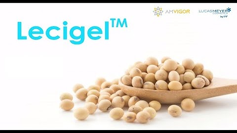 Lecigel - 3 in 1 Texturizing Agent